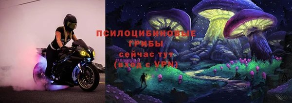 спиды Новодвинск