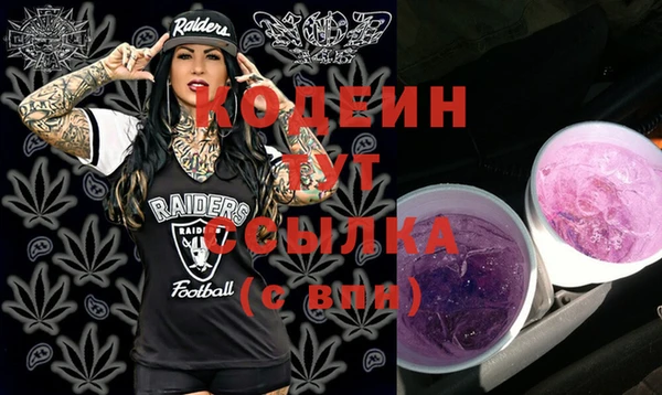 прущий лед Няндома